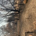 Fence line completely destroyed