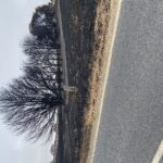 Along a main thoroughfare