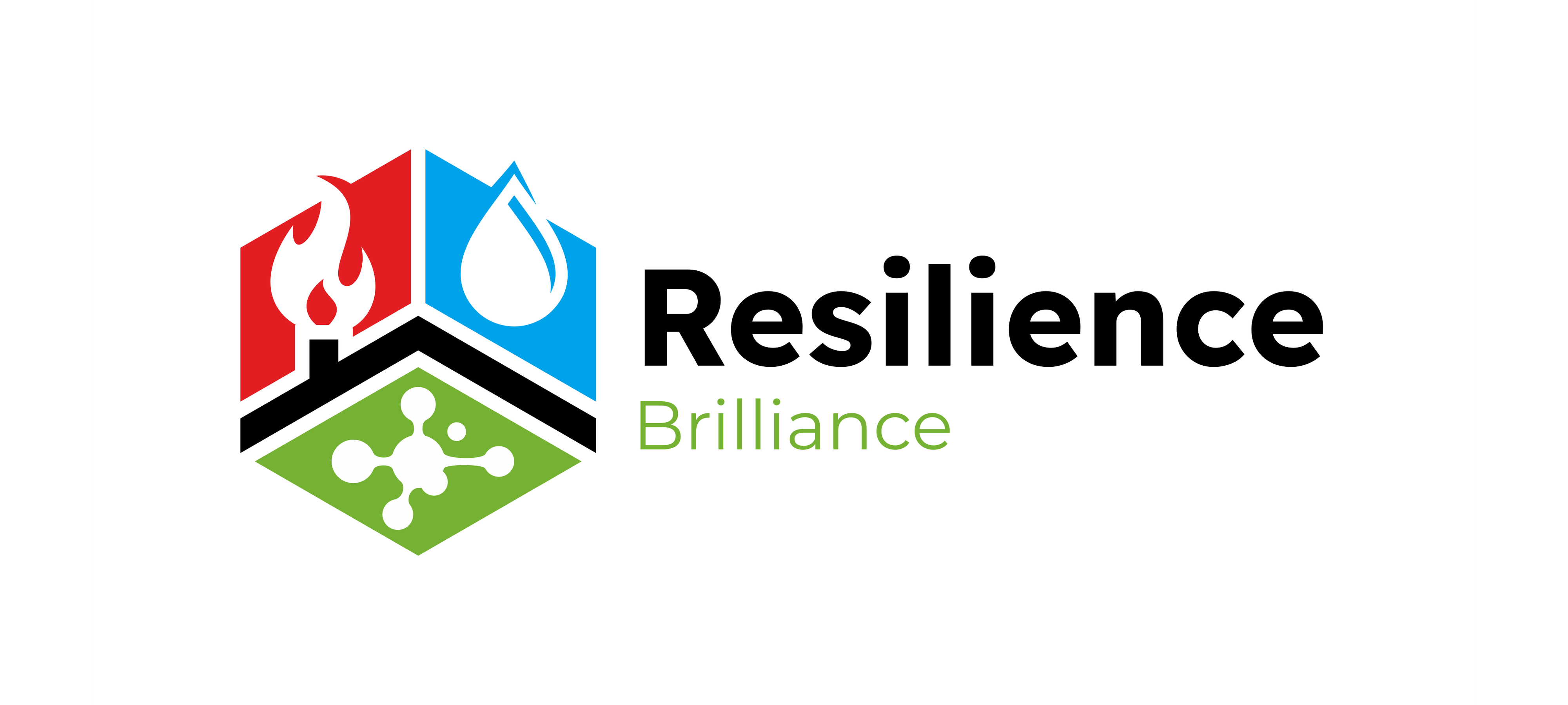 Resilience Brilliance Logo PNG